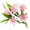 Pink, variant on BNNG Lily Flower Artificial Flower Potted Decoration Wedding Decoration Dry Flower Decoration Artificial Artificial Artificial Flower Artificial Flower Vase Set Realistic Silk Flowers