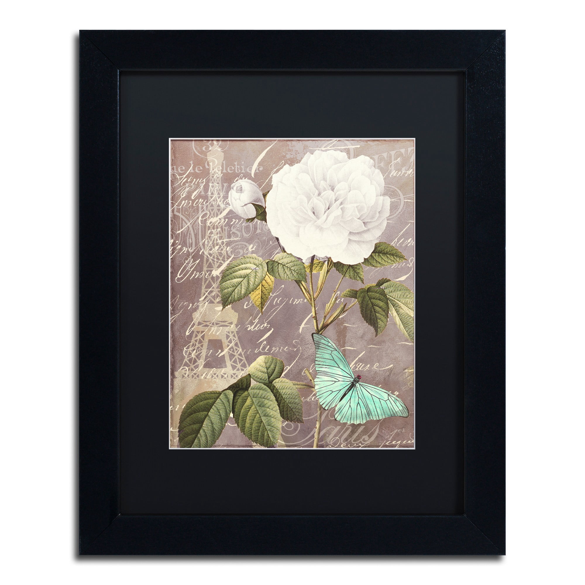 Trademark Fine Art "White Rose" Canvas Art by Color Bakery, Black Matte, Black Frame