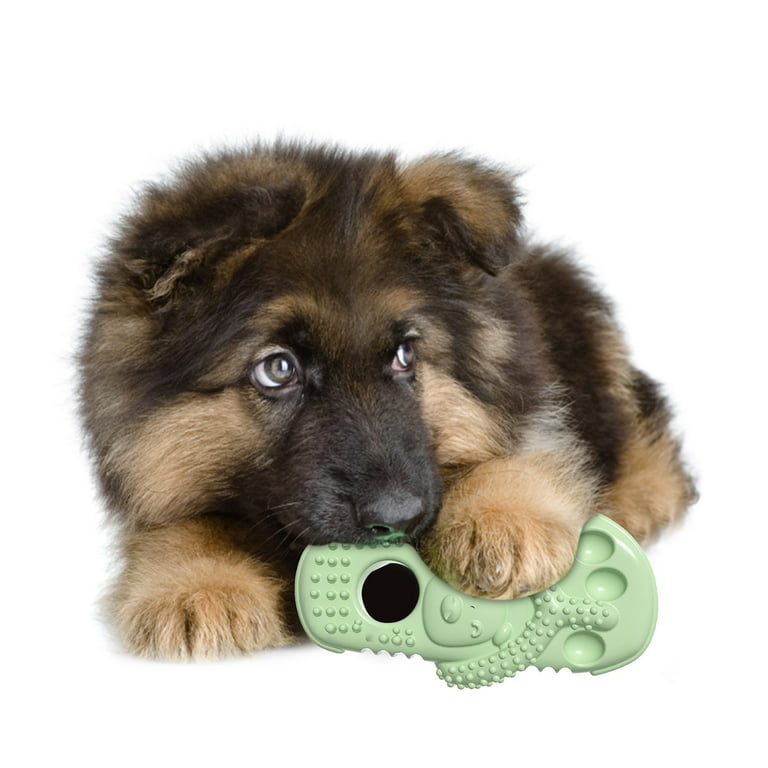 Stimulating Toys for Older Dogs