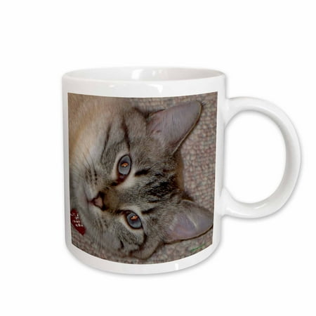 

3dRose Siamese Ceramic Mug 11-ounce