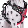 thumbnail image 3 of No-pull Dog Harness Padded Adjustable Pet Vest Harness For Large Dogs Training Or Walking, 3 of 5