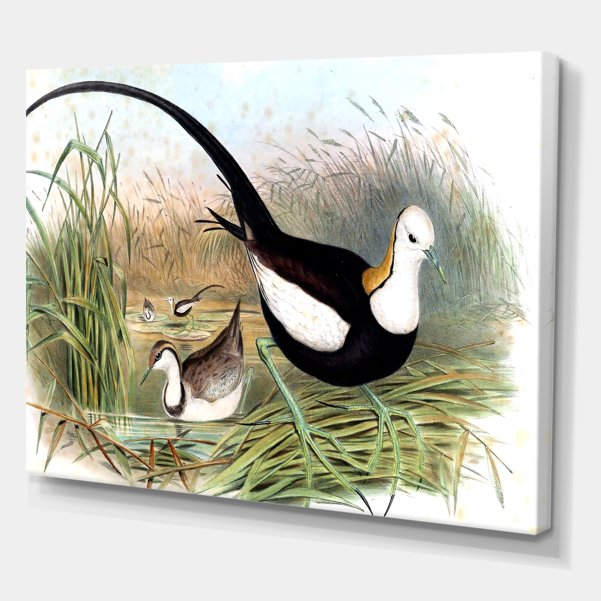 Designart ' Vintage Countryside Birds In Lake ' Farmhouse Canvas Wall Art Print