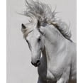thumbnail image 2 of White Horse Wall Mural by Wallmonkeys Peel and Stick Graphic (24 in H x 21 in W) WM144693, 2 of 4