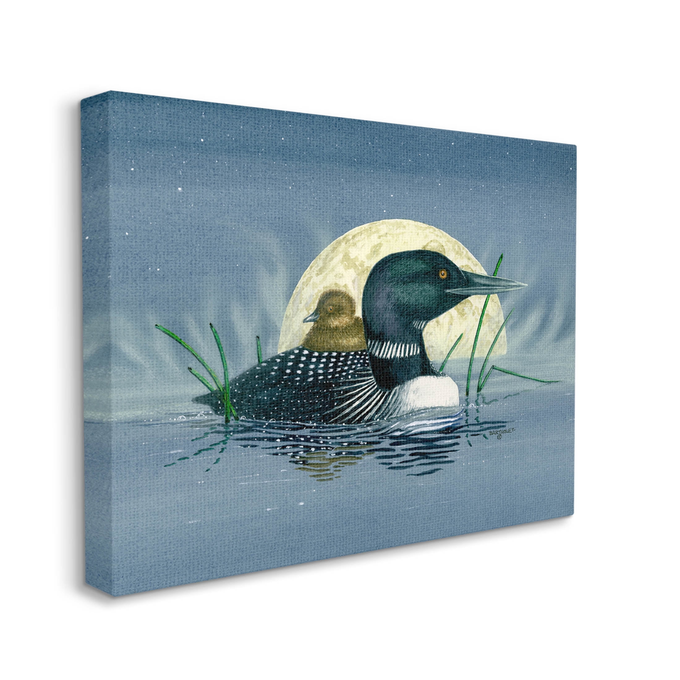 Mallard Duck Moonlit Pond Animals & Insects Graphic Art Gallery Wrapped Canvas Print Wall Art
