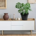 thumbnail image 5 of Tierra Verde 18" W x 16" H Baritone Self-Watering Recycled Planter - Black, Indoor/Outdoor, 5 of 5