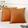 BLEUM CADE 2 Pack Throw Pillow Covers 18 x 18 inch,Orange Decorative