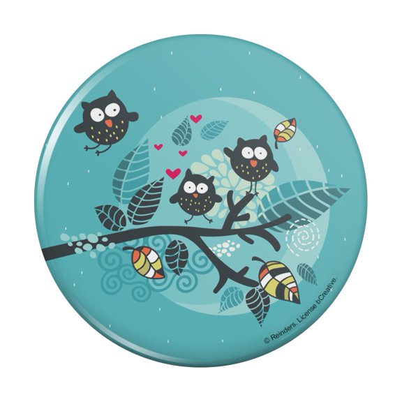 Sweet Owl Moonlight Night Pinback Button Pin