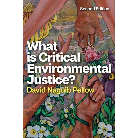 What Is Critical Environmental Justice?, (Paperback)