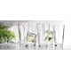 thumbnail image 5 of Set de vasos para beber Home Essentials 10 Highball 480 ml, 5 of 8