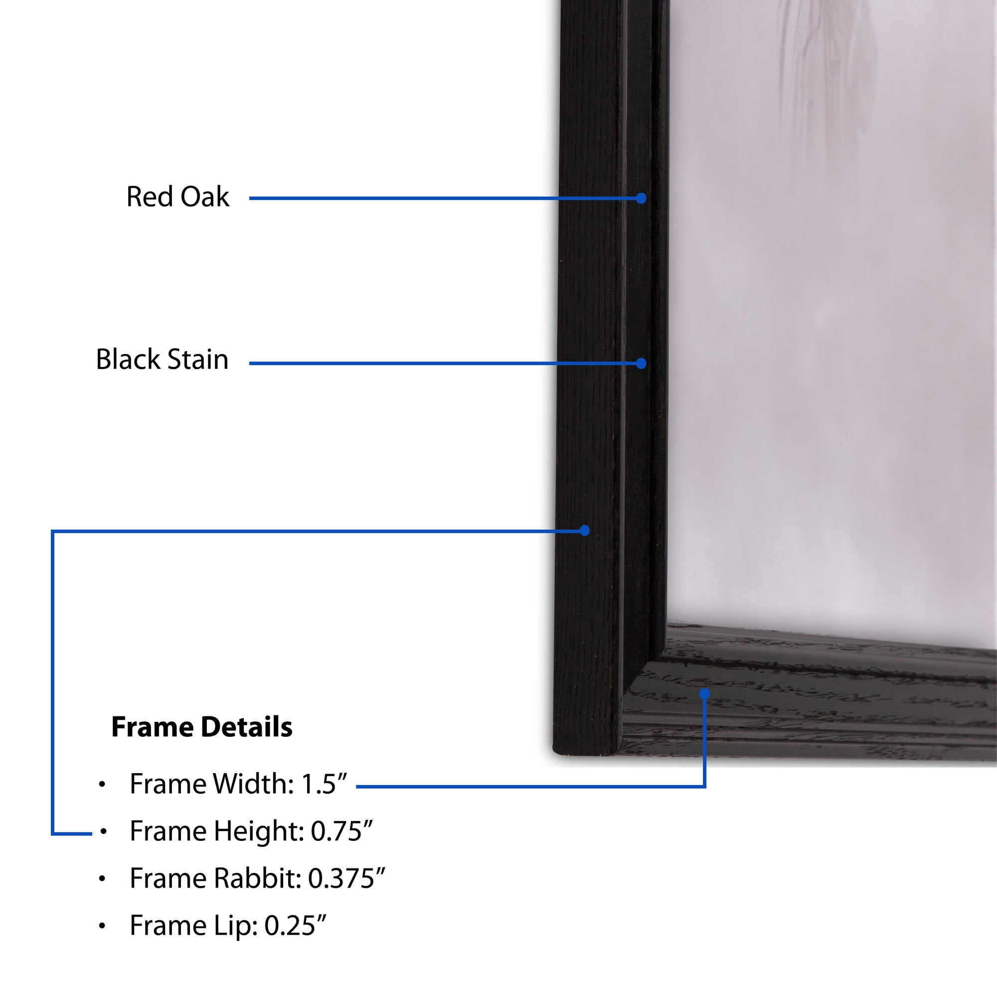 ArtToFrames 16" x 20" Colonial Onyx Picture Frame, 16x20 inch Black MDF Poster Frame (WOM-4386), 5 Pack