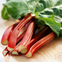 CZ Grain 50 Victoria Red Rhubarb Plant Seeds