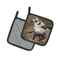 thumbnail image 2 of Carolines Treasures JMK1215PTHD Piping Plover Pair of Pot Holders , 7.5HX7.5W, multicolor, 2 of 3