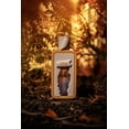 thumbnail image 2 of Perfume Riiffs Season Rise Eau De Parfum para hombre, 100 ml, 2 of 2