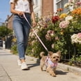 thumbnail image 3 of Bowknot Harness Harness With Plaid Leash Leash For Pull Belly Bands for Male Dogs with Snaps Cat Wheelchair Rear Legs Belly Bands for Dogs with Cat Steps Cat Walking Assist Plaid Dog Sweaters for, 3 of 3