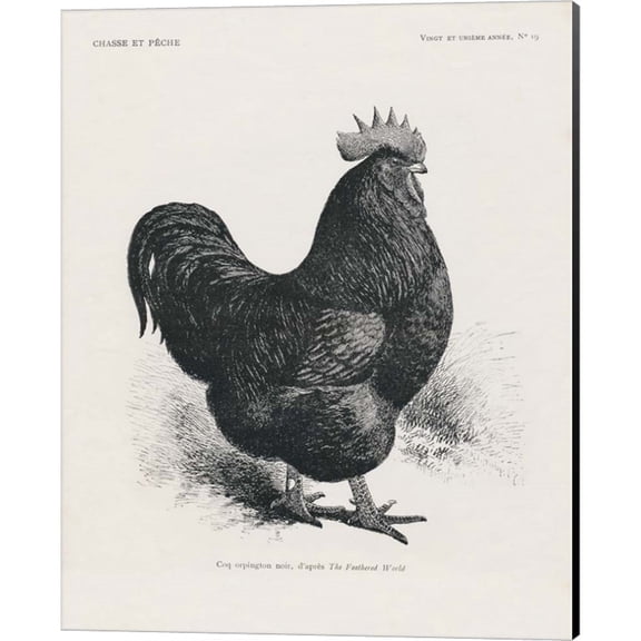 Great Art Now Vintage Farm Life II by Wild Apple Portfolio, Canvas Wall Art, 16W x 20H