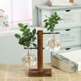 thumbnail image 5 of Propagation Station Glass Terrarium Planter Flower Pot With Retro Solid Wooden Stand For Home Kitchen Indoor Garden Wedding Desktop Patio Planters Wall Hanging Planters Planters Pots Tree Pot Indoor, 5 of 7