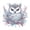 C, variant on Special Shape Diamond Art Kits for Adults Beginners, 5D Diamond Painting Kits for Owl,DIY Gem Art Crystal Rhinestones Painting Kit for Adults Home Wall Decor 12 X 12inch