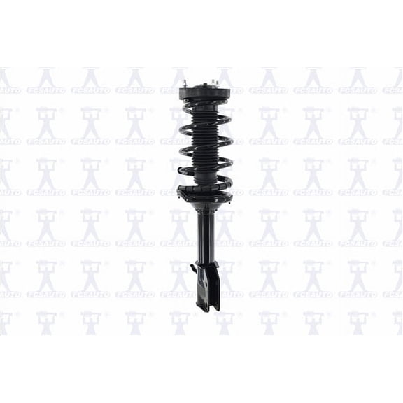 Suspension Strut and Coil Spring Assembly
