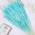thumbnail image 4 of 15pcs Dried Flowers 17 inch Natural Dried Pampas Grass Reed Plant with Box Real Flowers Romantic Wedding Flower Bulrush Bouquets Flavorful Durable for DIY Home Decor Matching Photography (Blue), 4 of 14