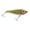 Other, variant on B&L Paul Browns F-11 Fat Boy Black 4" 3/4oz Topwater Fishing Freshwater Lure
