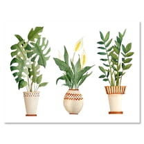 Designart ' Houseplant Peace Lily In Terra Cotta and Monstera ' Farmhouse Canvas Wall Art Print