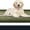 Budding Green & Sage Green, variant on Dirt Trapping Door Ma, Non-Slip Machine Washable Entryway Rug, Entrance Mat, Indoor Front Door Mat, Super Absorbent Entry Rug for Muddy Shoes & Paws