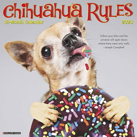 Chihuahua 2010 Calendar - Willow Creek Press 2020 Chihuahua Rules Wall Calendar