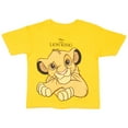 thumbnail image 4 of DISNEY Lion King Boys Graphic Tees Short Sleeve T Shirts Simba Graphic Print T Shirt 2 Pack Boys Tees for Kids & Toddlers (Sizes 2T-10), 4 of 8
