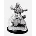 thumbnail image 2 of Dungeons & Dragons Nolzur`s Marvelous Unpainted Miniatures: W11 Male Human Wizard, 2 of 2