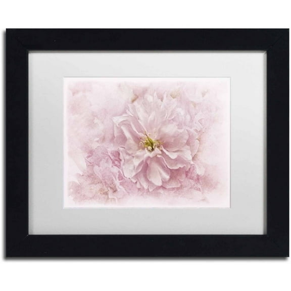 Trademark Fine Art 'Cherry Blossom' Canvas Art by Cora Niele, White Matte, Black Frame