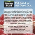 thumbnail image 5 of Minute Maid Blue Raspberry Juice Drink Bottle, 20 fl oz, 5 of 13