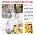 thumbnail image 3 of Dried Flowers Set Scrapbooking Decorating Real Flower Decal Jewelry Making Postcard Handicraft Filling Pressed Specimen Label for Makeup Phone Use Type 9, 3 of 6