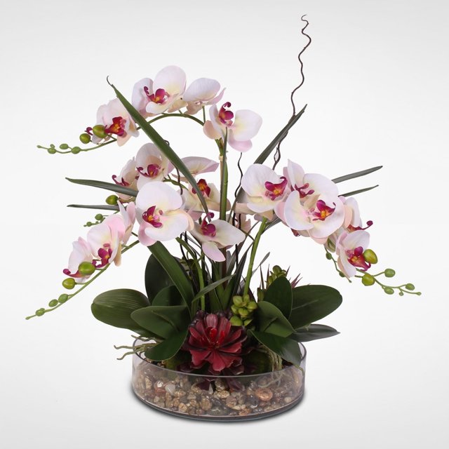 Silk Phalaenopsis Cream Pink Orchids in a Glass Bowl with Pebbles ...