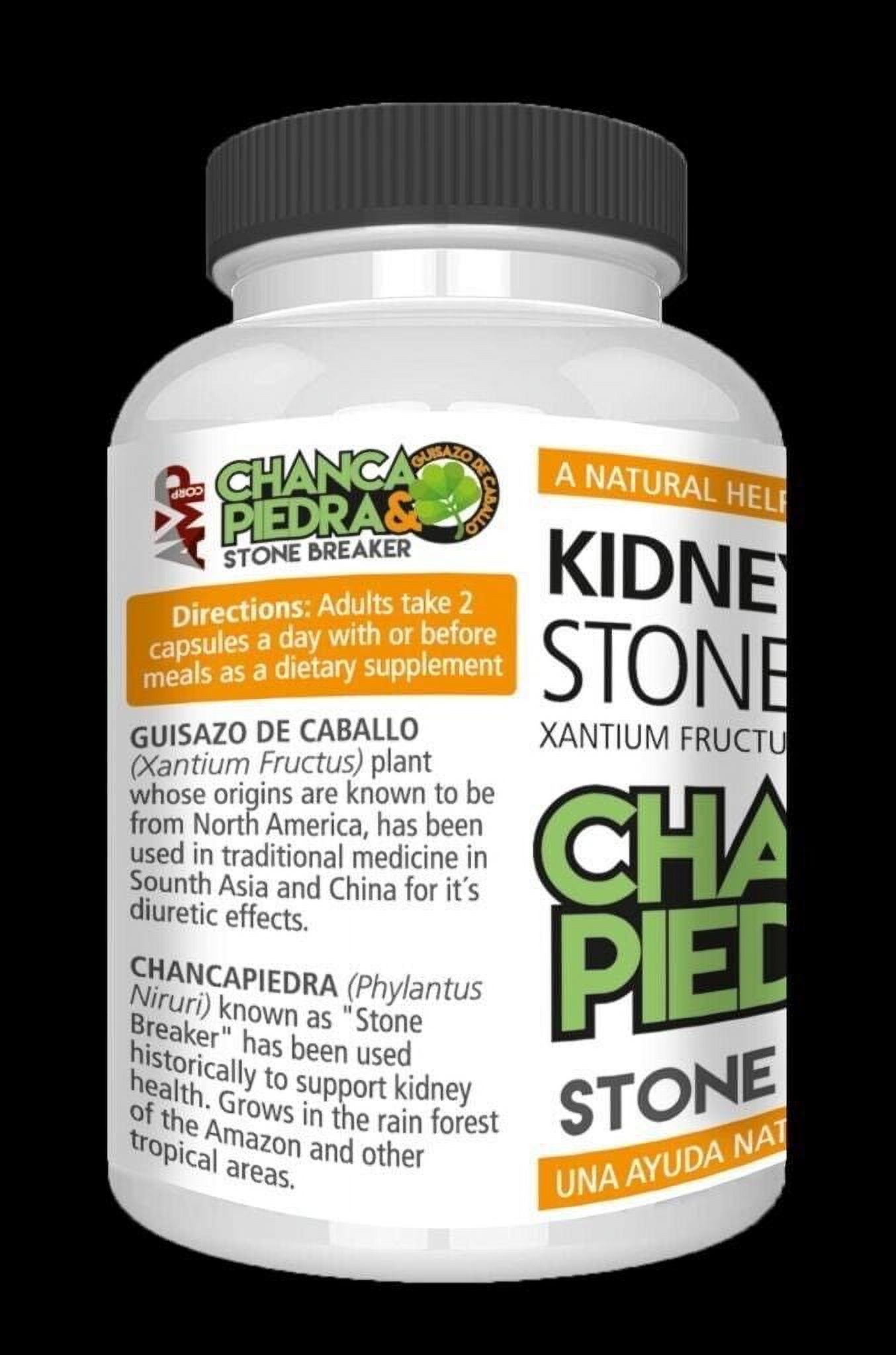 Chanca Piedra Stone Breaker Kidney Liver Gallstones Pill 1000mg 120 Capsules