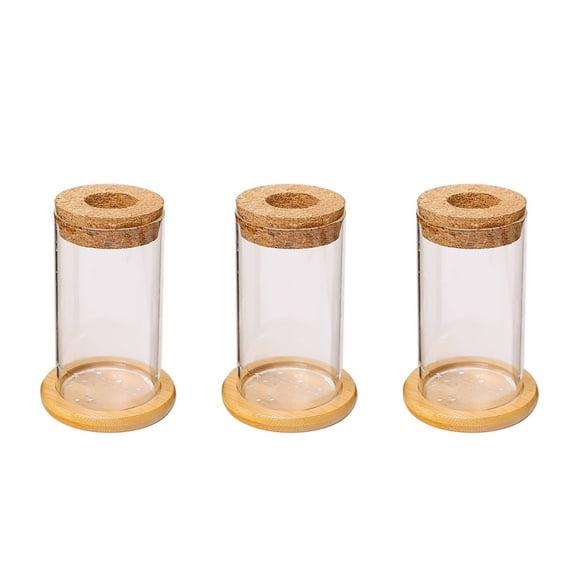 Glass Plant Propagation Station Plant Propagation Tubes Desktop Plant Terrarium With Wooden Stand Home Decor