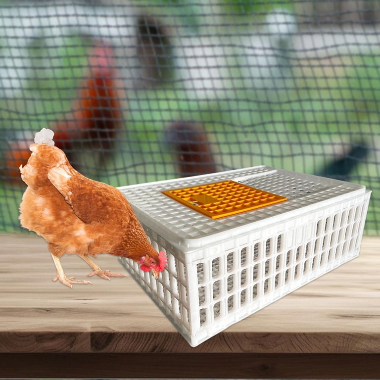 Storage Racks For Poultry Milk Crates For Storage Heavy Duty Plastic Poultry Carrier Crate ...