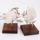 thumbnail image 3 of 2 PCS Display Stand Walnut Base for Fossil Coral Geodes Mineral, 3 of 5