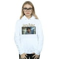 thumbnail image 2 of Harry Potter Womens Steam Ears Hoodie, 2 of 3