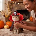 thumbnail image 5 of Halloween Pet Costume Set Adjustable Decor Top Hat & Cloak Holiday Cosplay Dress‑up Outfit Photo Prop for Cats and Small Dogs, 5 of 6