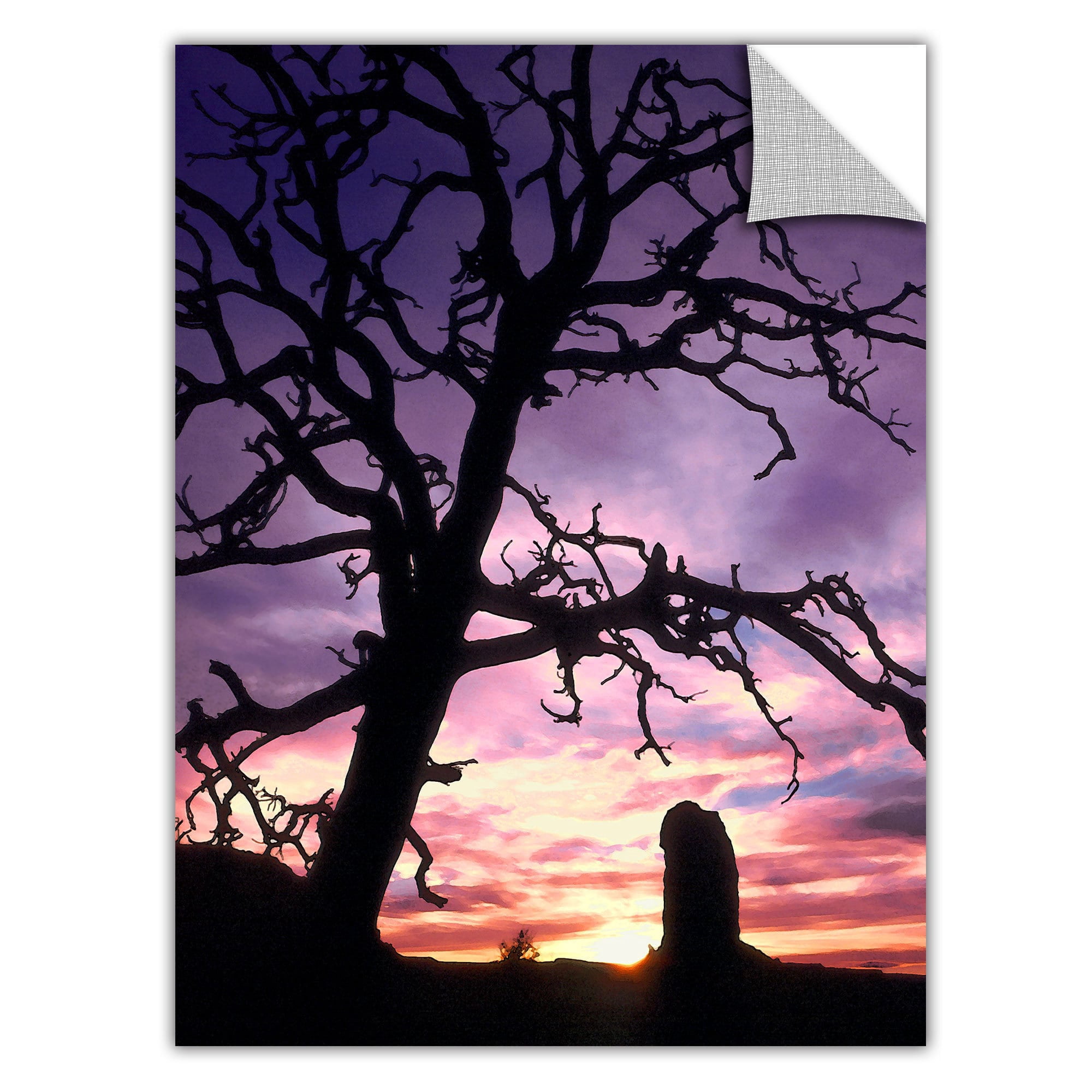 Dean Uhlinger "Maze Sunset Canyonlands" Removable Wall Art