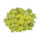 thumbnail image 2 of Piedras fluorescentes para acuario que brillan en la oscuridad: decoración de plástico fluorescente para peceras, conchas y piedras luminosas para paisajismo acuático nocturno, decoraciones, 2 of 6