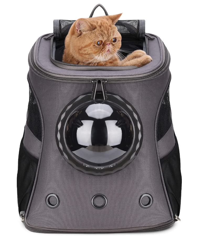 buy cat backpack