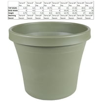 Bloem Terra Pot Planter 12" Living Green