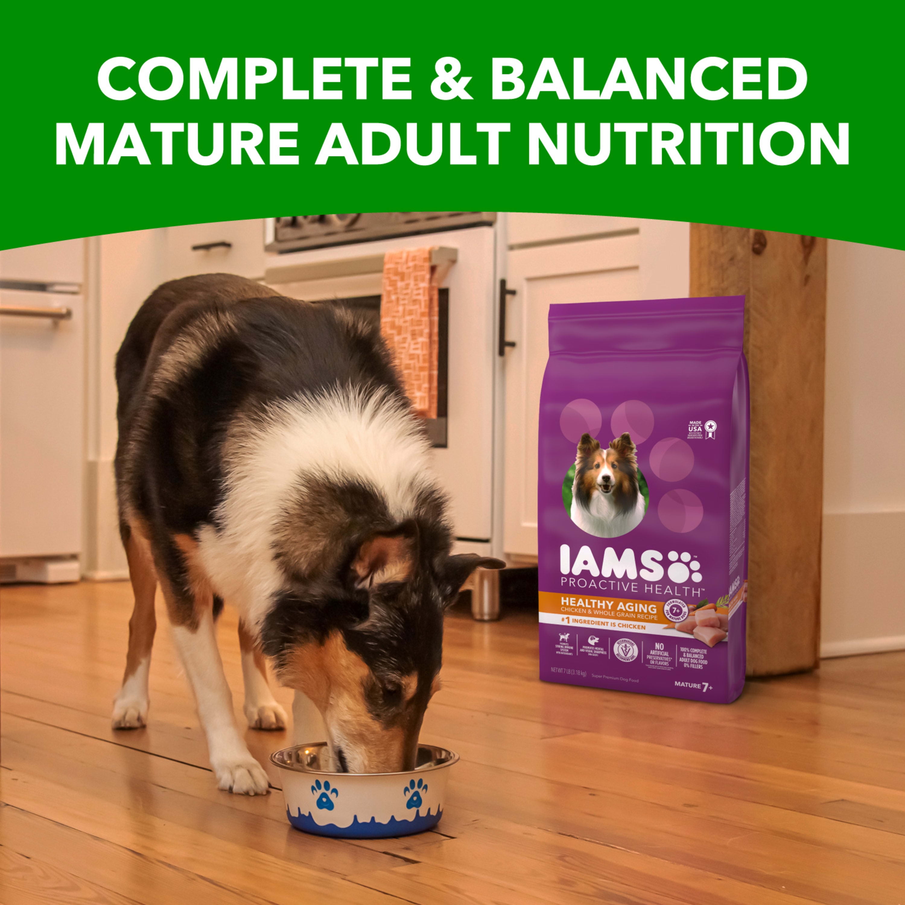 Walmart iams senior dog clearance food