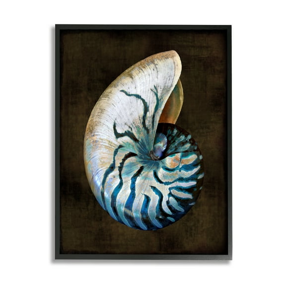 Stupell Industries Modern Marine Shell Nature Painting Black Framed Art Print Wall Art, 11 x 14