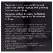 Luminescent Eye Shade - Rhinoceros by Chantecaille for Women - 0.08 oz Eye Shadow