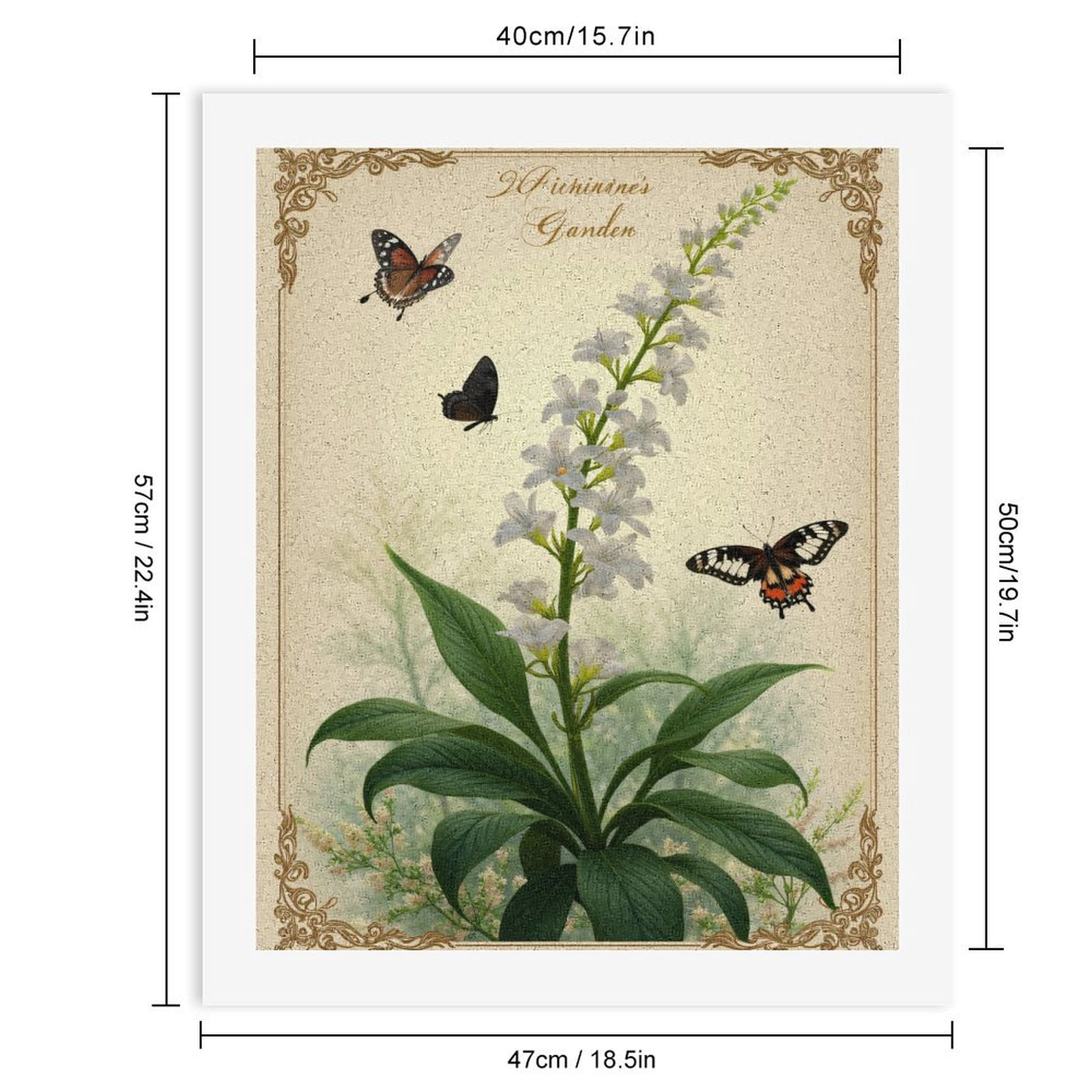 Paint By Numbers Kit for Adults Beginner - DIY Butterflies White Flowers Vintage Art Canvas Painting Kits for Adults, Frameless Paint By Number for Adults for Home Wall Decor 16x20 Inch