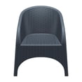 thumbnail image 3 of Compamia Aruba Chaise d'Extérieur en Gris Foncé, 3 of 15