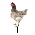 thumbnail image 4 of Estatua de jardín de pollo, adorno de césped para gallina, Patio, estaca de animales acrílica, Patio de gallo Estilo C, 4 of 8