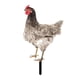 thumbnail image 4 of Adorno de césped de gallina, estatua decorativa de gallo para jardín Estilo C, 4 of 9